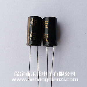 22uf 250V鋁電解