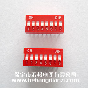 8P撥碼開(kāi)關(guān) 臺(tái)產(chǎn) 平撥